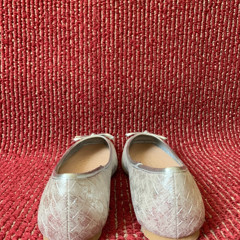 Sliver Slippers - Picture 5 of 5